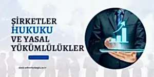 Read more about the article Şirketler Hukuku ve Yasal Yükümlülüklerinizi Anlama
