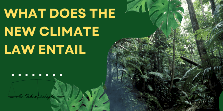 Read more about the article WHAT DOES THE NEW CLIMATE LAW ENTAIL?