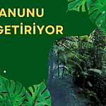 YENİ İKLİM KANUNU NELER GETİRİYOR?