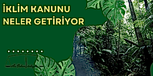 Read more about the article YENİ İKLİM KANUNU NELER GETİRİYOR?